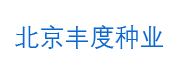 客户九